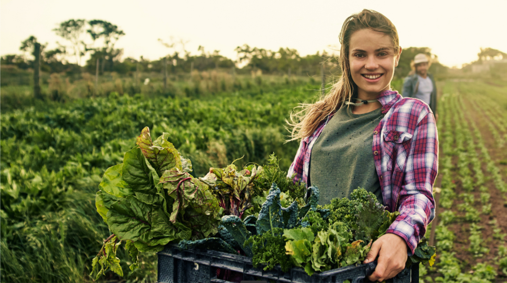 Landwirtschaft