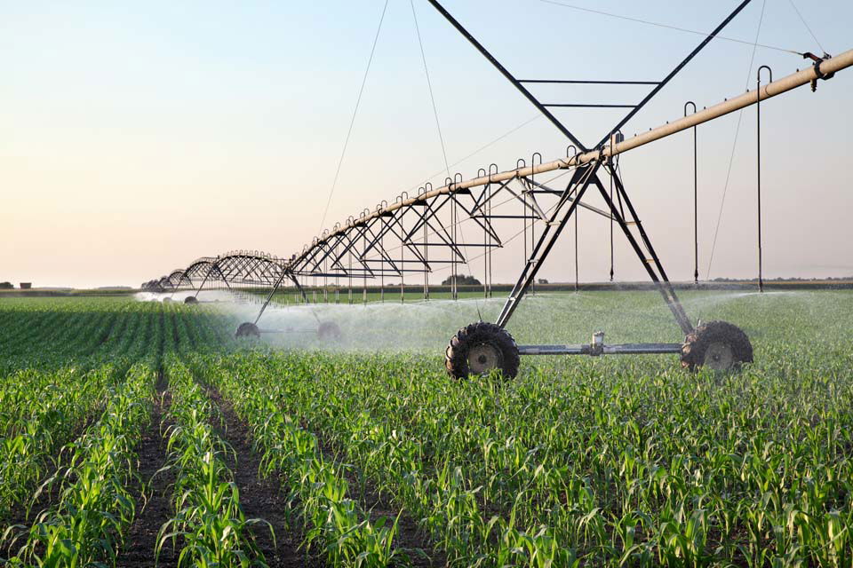 Irrigation