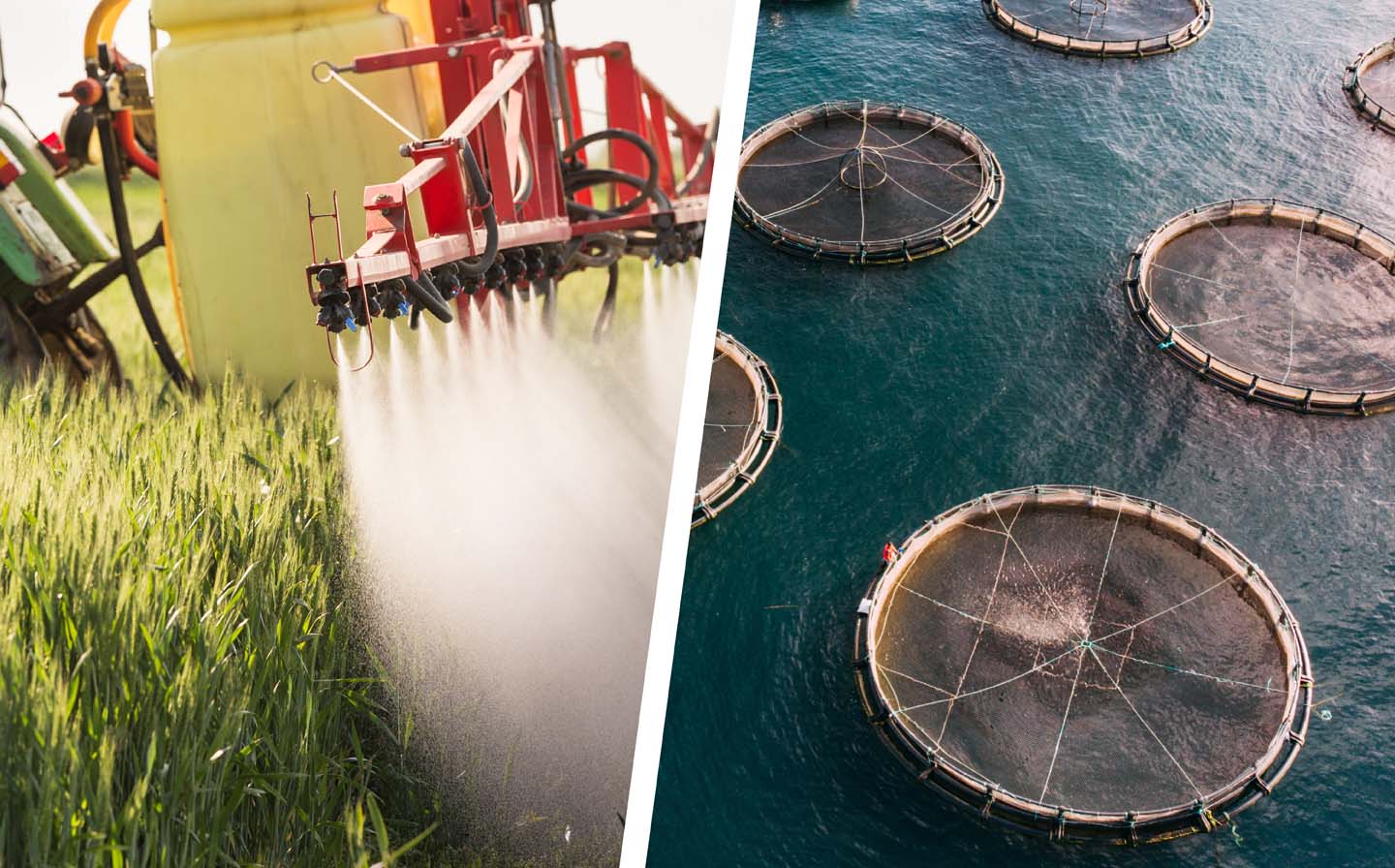 Hose Solutions for Agriculture & Aquaculture