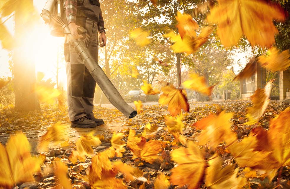 Leaf Vacuum and Grass Mower