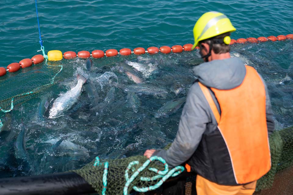 Aquaculture/Fish Farming